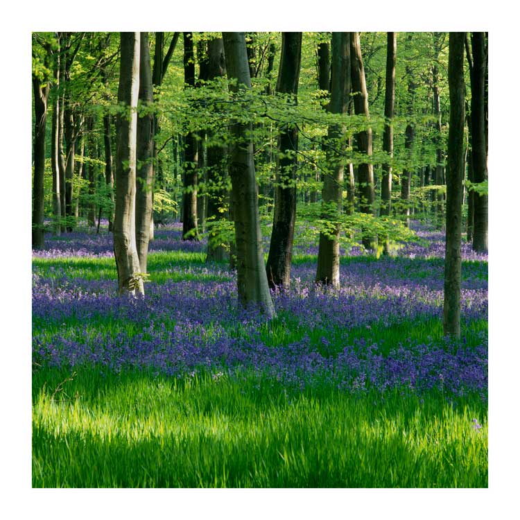 Fine Art Print - Ed Collacott British Landscape Photographer