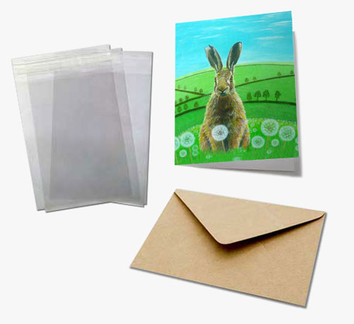 greeting card envelope and sleeve